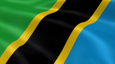 eSIM Tanzania digital SIM card for travelers